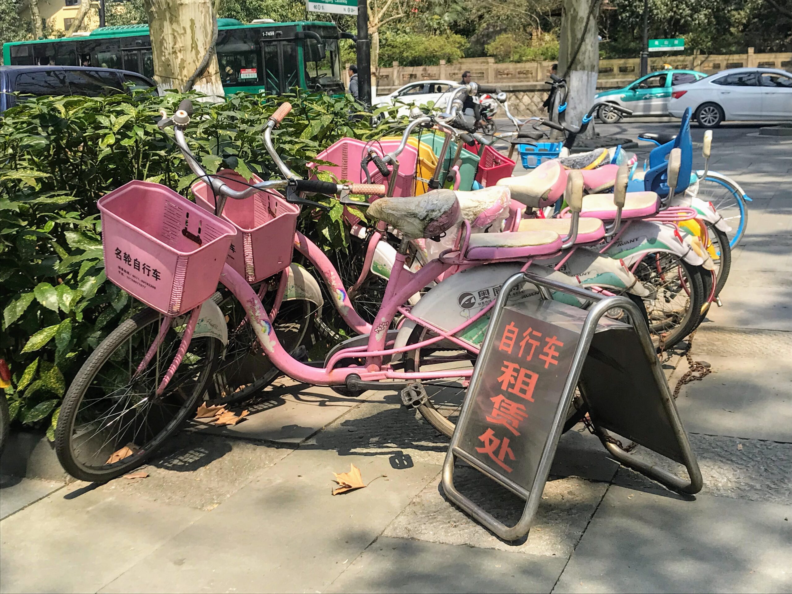 Bikes in China