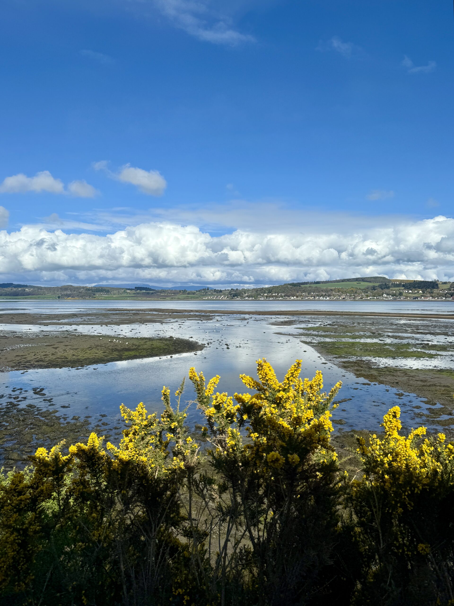 View of the Scottish Highlands from a train